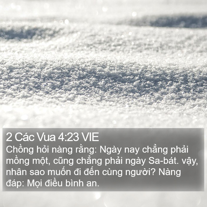 2 Các Vua 4:23 VIE Bible Study