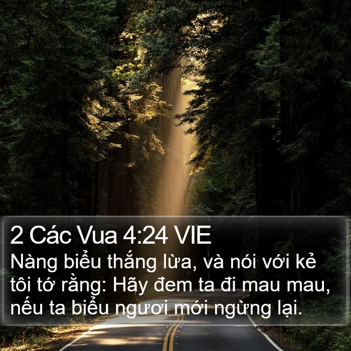 2 Các Vua 4:24 VIE Bible Study