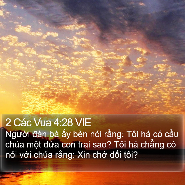 2 Các Vua 4:28 VIE Bible Study