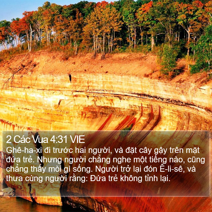 2 Các Vua 4:31 VIE Bible Study