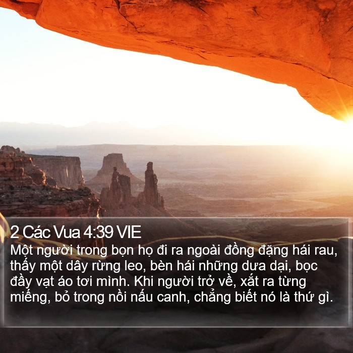 2 Các Vua 4:39 VIE Bible Study