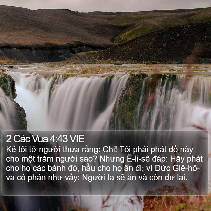 2 Các Vua 4:43 VIE Bible Study