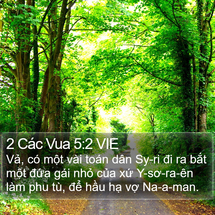 2 Các Vua 5:2 VIE Bible Study