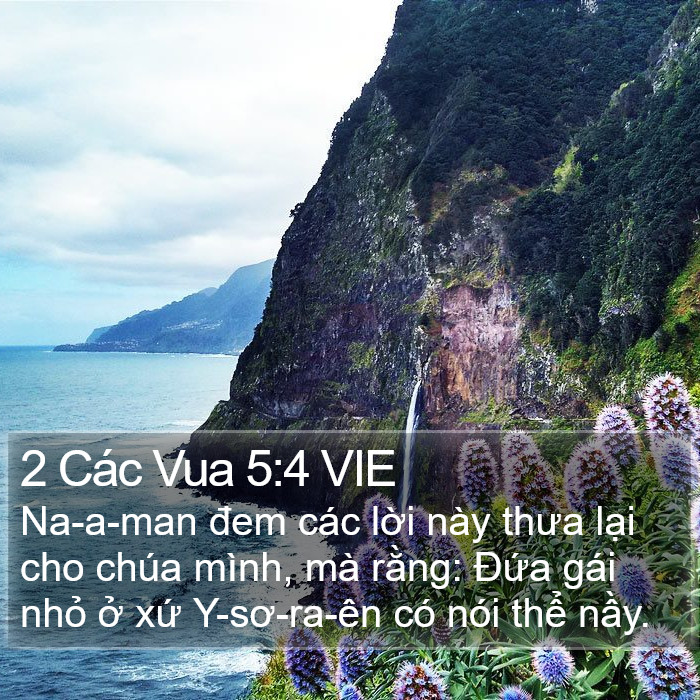 2 Các Vua 5:4 VIE Bible Study