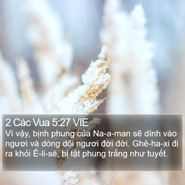 2 Các Vua 5:27 VIE Bible Study