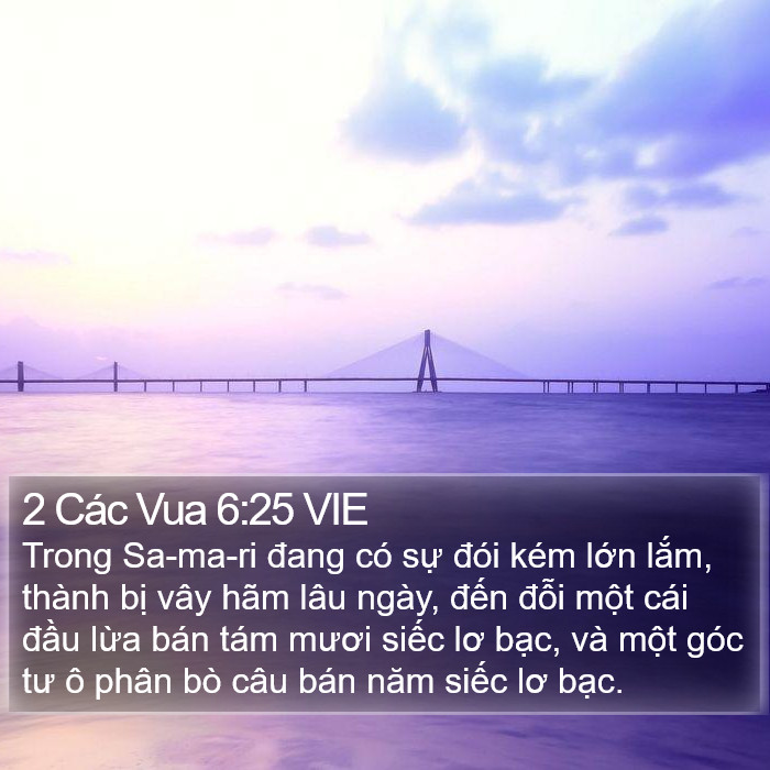2 Các Vua 6:25 VIE Bible Study