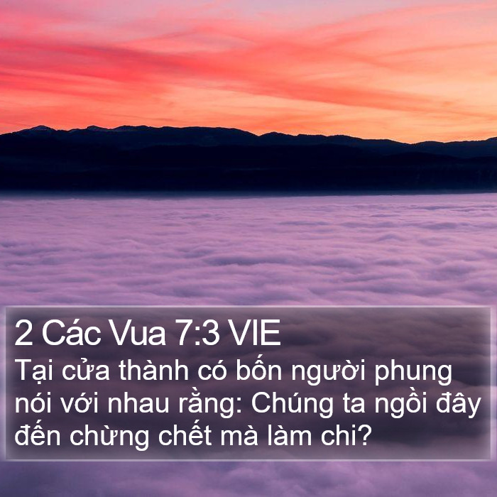 2 Các Vua 7:3 VIE Bible Study