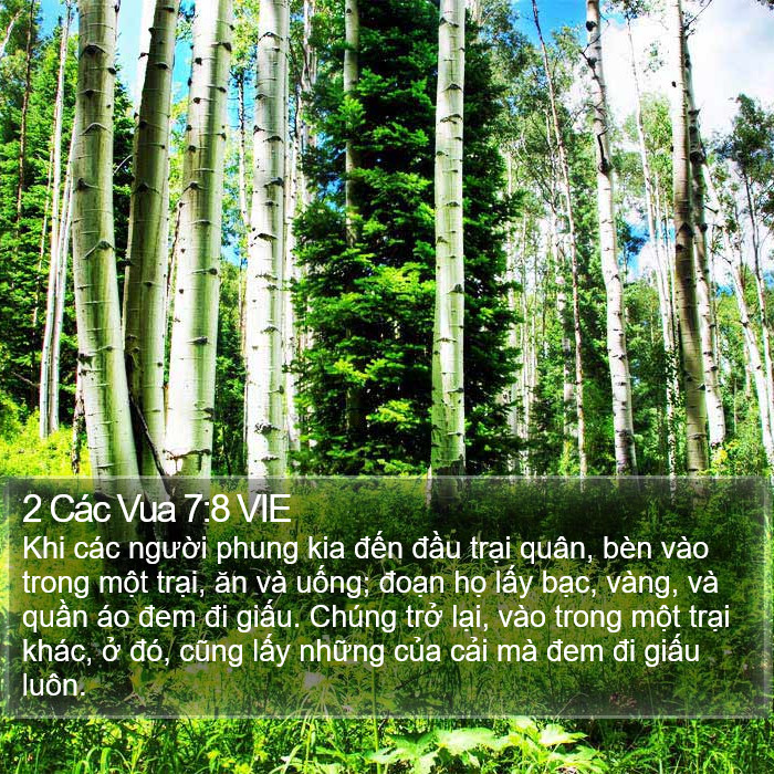 2 Các Vua 7:8 VIE Bible Study