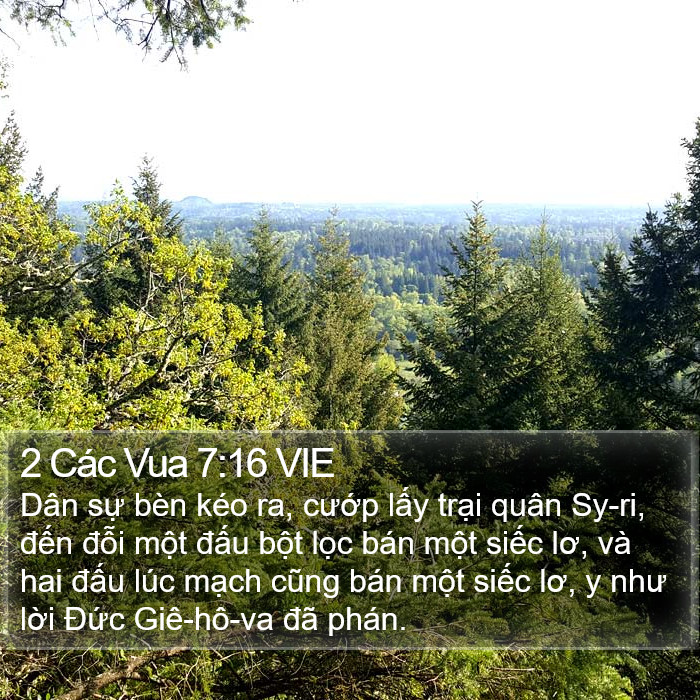 2 Các Vua 7:16 VIE Bible Study