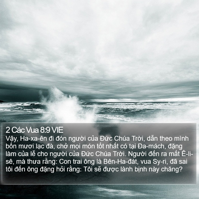 2 Các Vua 8:9 VIE Bible Study