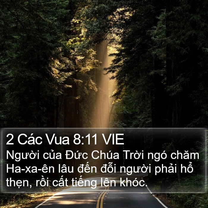 2 Các Vua 8:11 VIE Bible Study