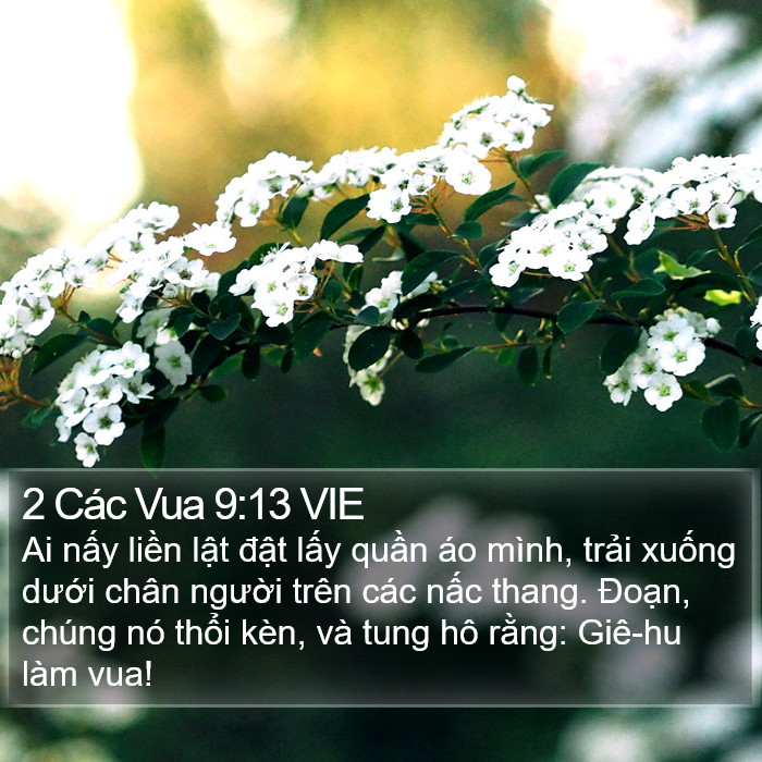 2 Các Vua 9:13 VIE Bible Study