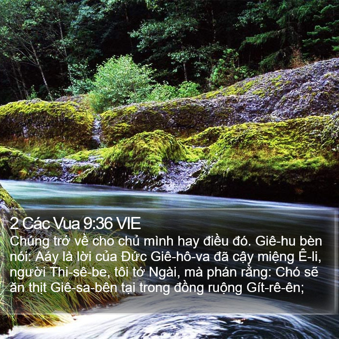 2 Các Vua 9:36 VIE Bible Study