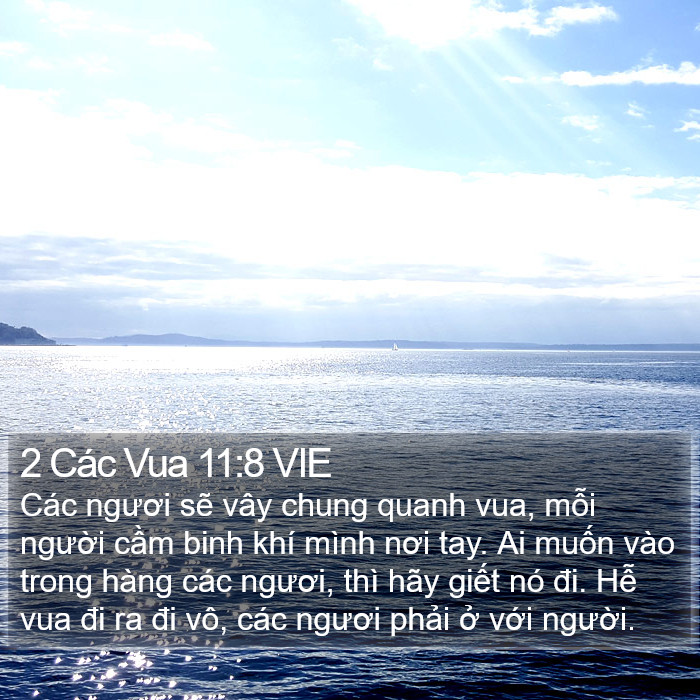 2 Các Vua 11:8 VIE Bible Study
