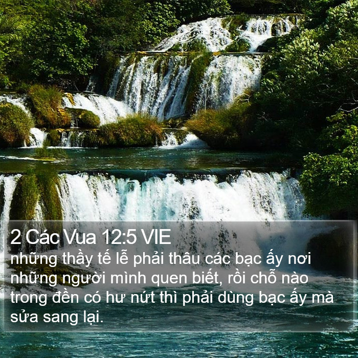 2 Các Vua 12:5 VIE Bible Study