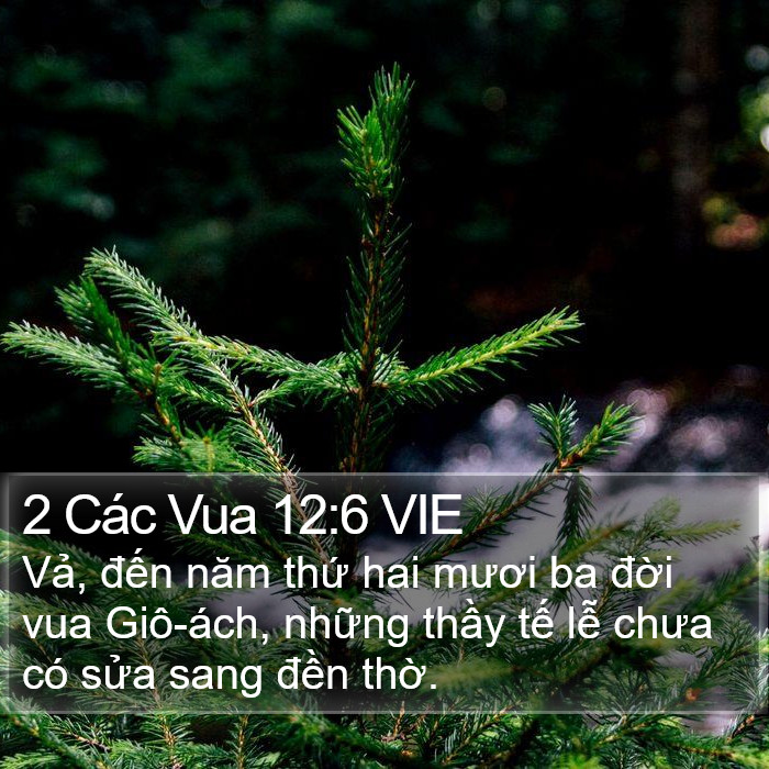 2 Các Vua 12:6 VIE Bible Study