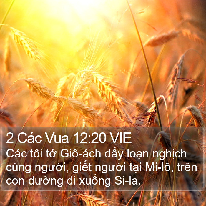 2 Các Vua 12:20 VIE Bible Study