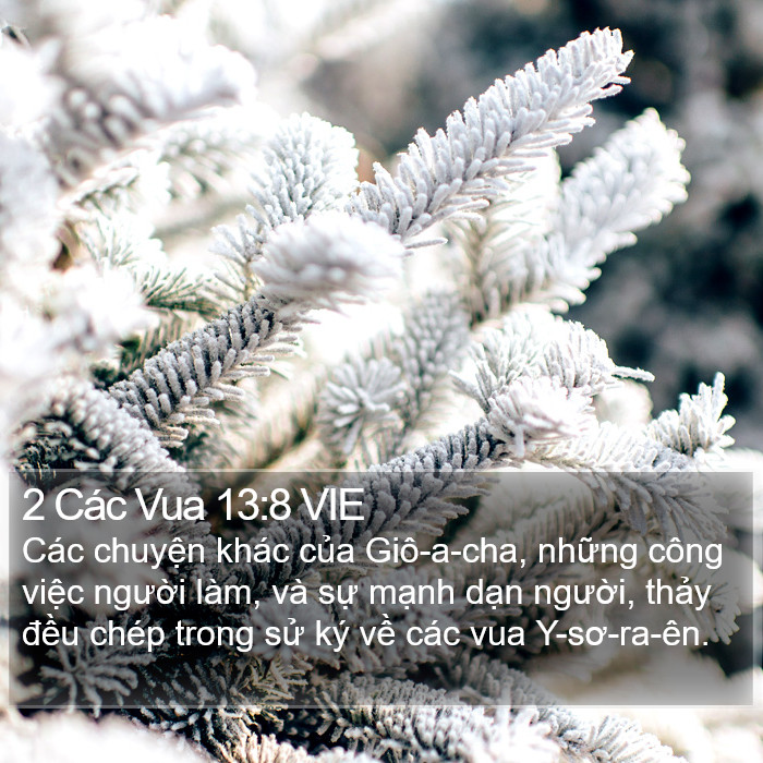 2 Các Vua 13:8 VIE Bible Study