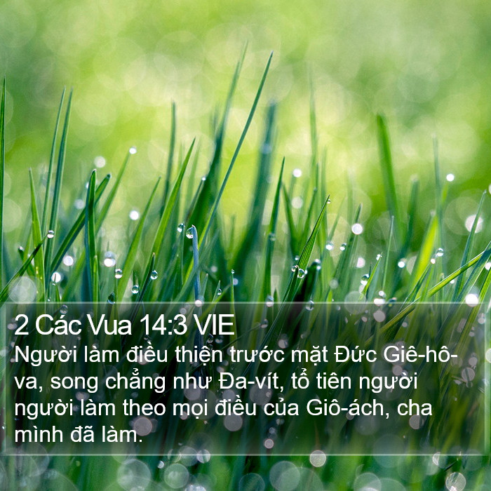 2 Các Vua 14:3 VIE Bible Study