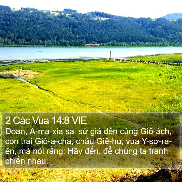 2 Các Vua 14:8 VIE Bible Study