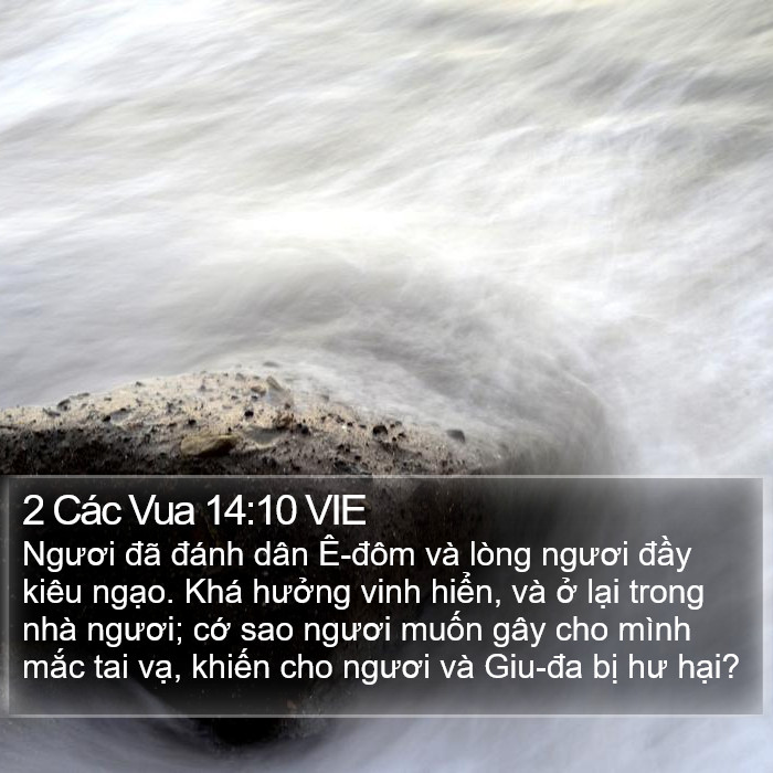 2 Các Vua 14:10 VIE Bible Study