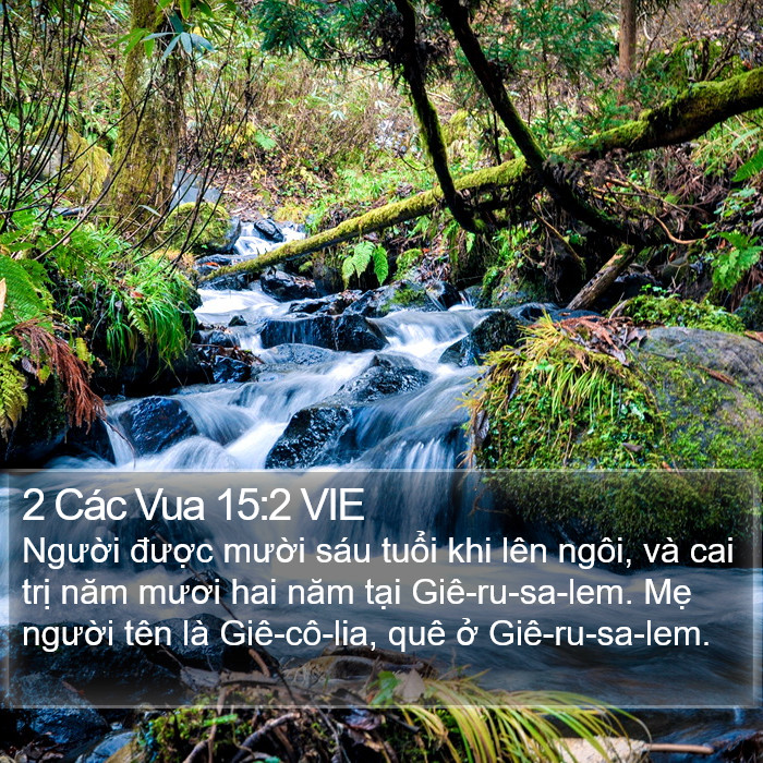 2 Các Vua 15:2 VIE Bible Study