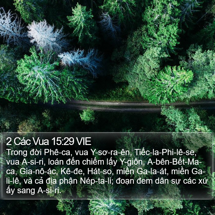 2 Các Vua 15:29 VIE Bible Study