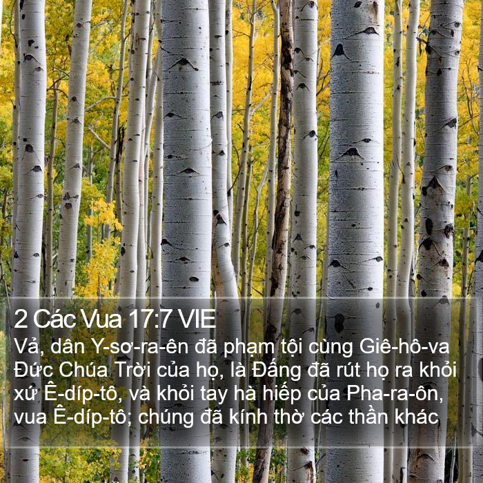 2 Các Vua 17:7 VIE Bible Study