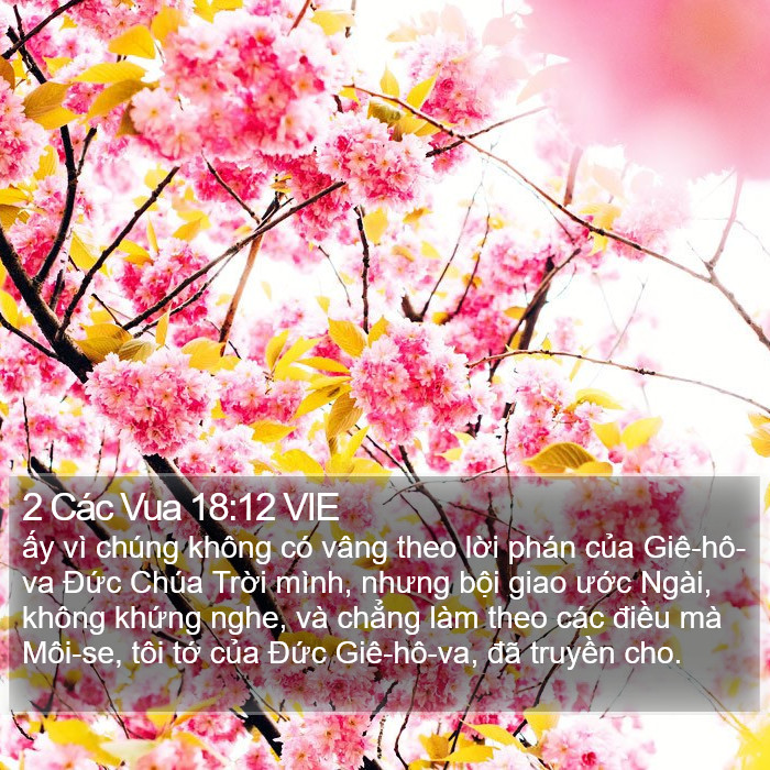 2 Các Vua 18:12 VIE Bible Study