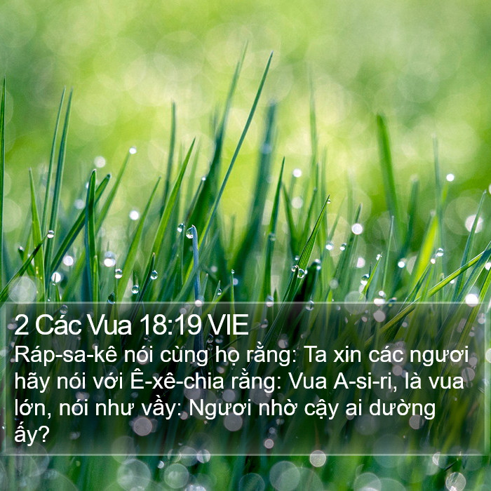 2 Các Vua 18:19 VIE Bible Study