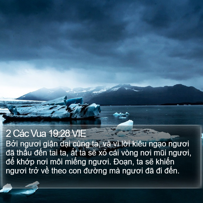 2 Các Vua 19:28 VIE Bible Study