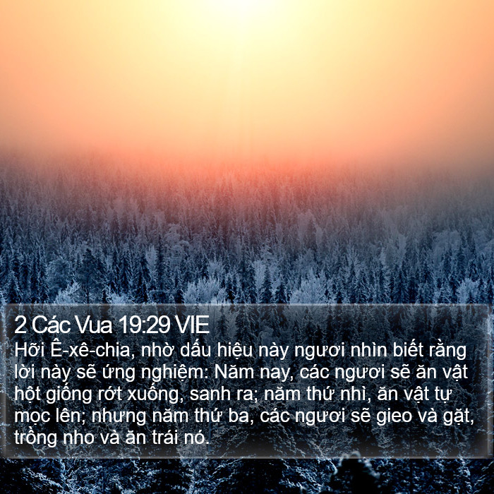 2 Các Vua 19:29 VIE Bible Study