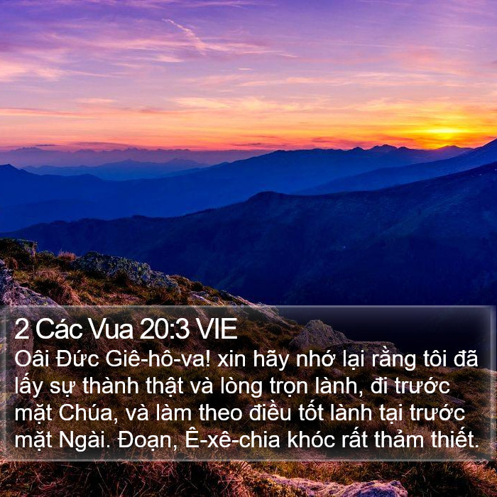 2 Các Vua 20:3 VIE Bible Study