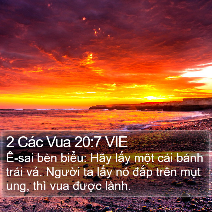 2 Các Vua 20:7 VIE Bible Study