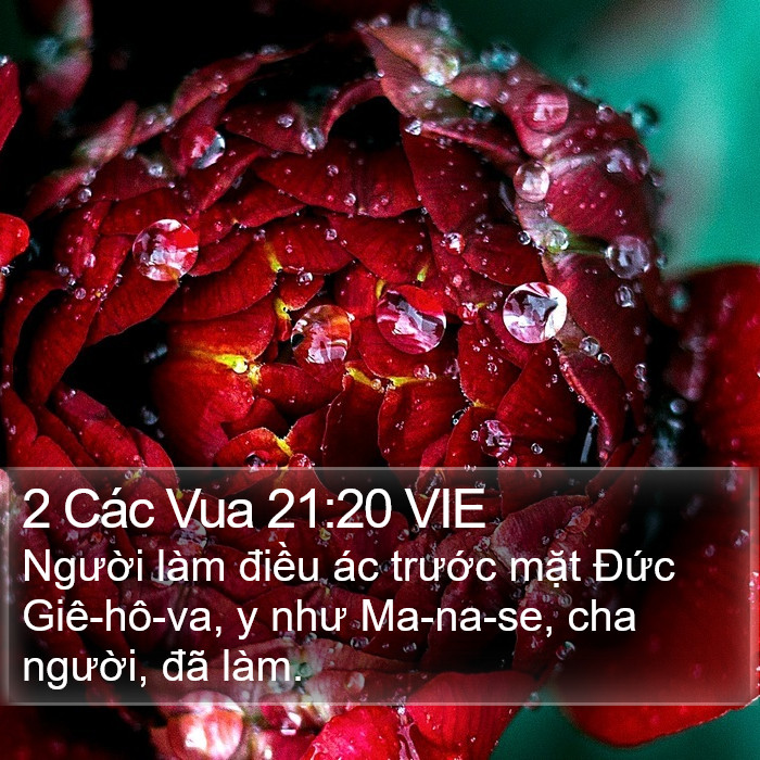 2 Các Vua 21:20 VIE Bible Study