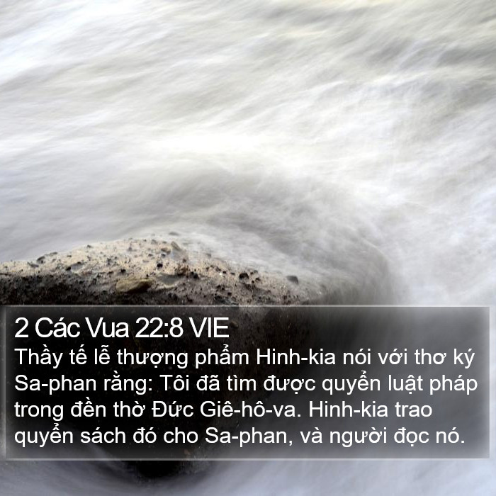 2 Các Vua 22:8 VIE Bible Study