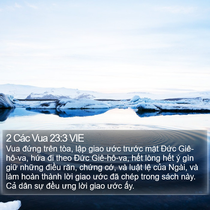 2 Các Vua 23:3 VIE Bible Study