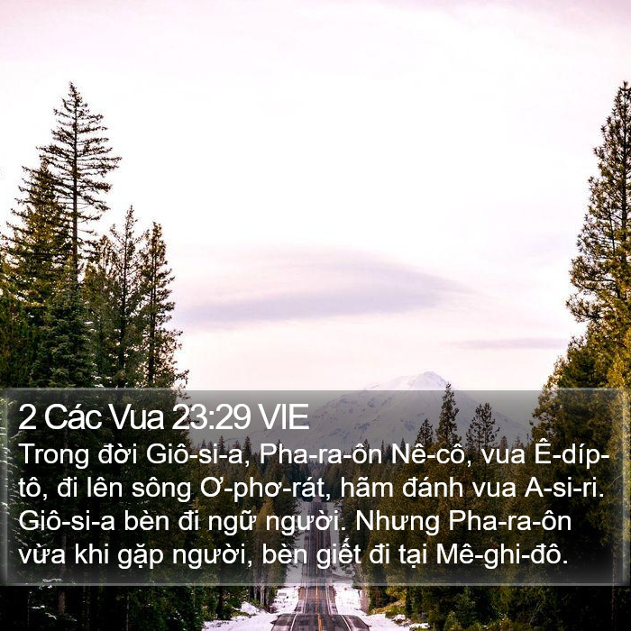 2 Các Vua 23:29 VIE Bible Study