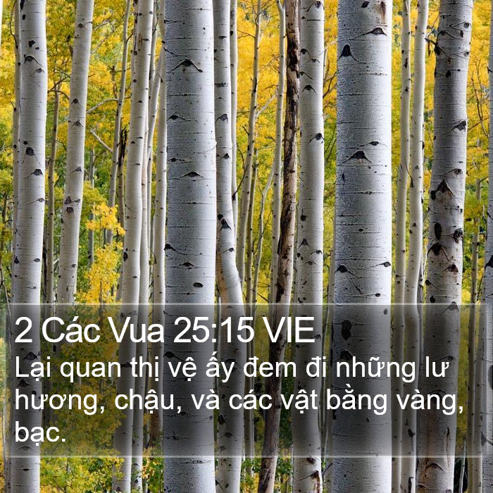 2 Các Vua 25:15 VIE Bible Study