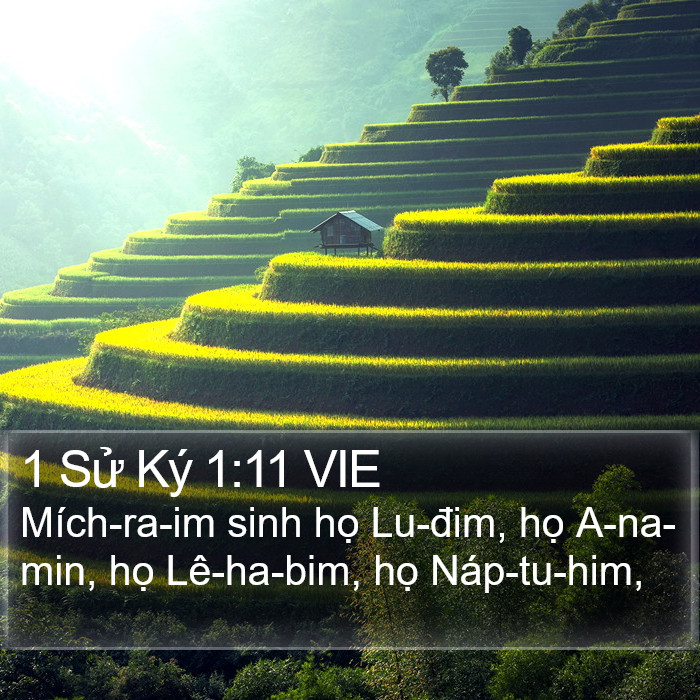 1 Sử Ký 1:11 VIE Bible Study