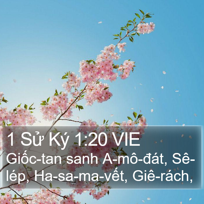 1 Sử Ký 1:20 VIE Bible Study