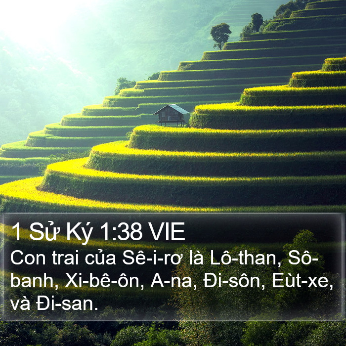 1 Sử Ký 1:38 VIE Bible Study