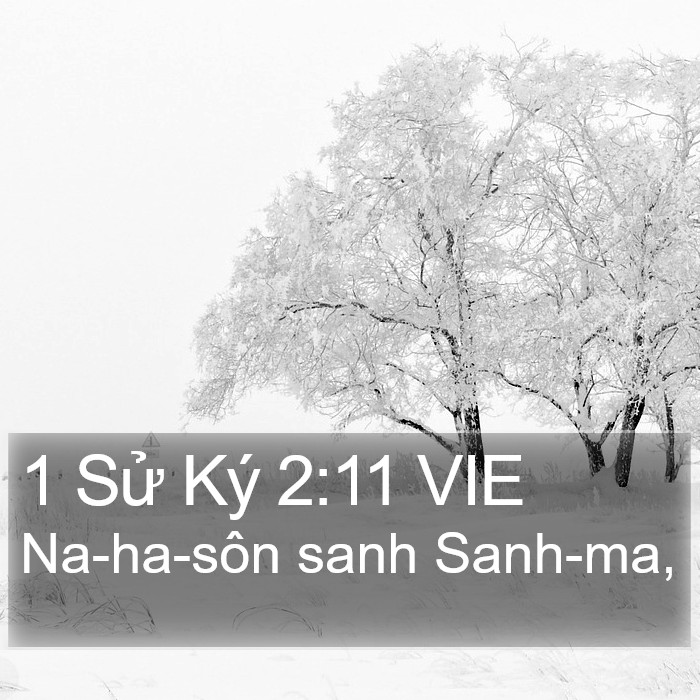 1 Sử Ký 2:11 VIE Bible Study