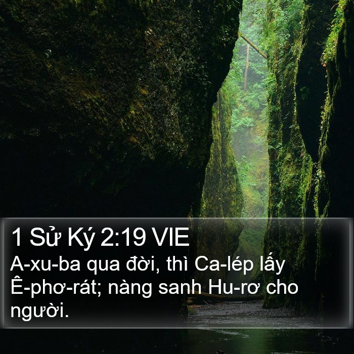 1 Sử Ký 2:19 VIE Bible Study