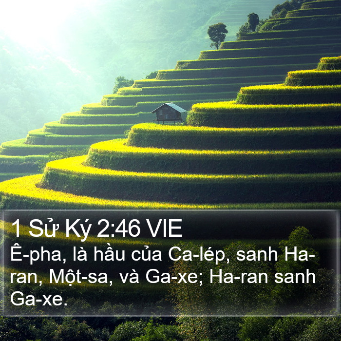 1 Sử Ký 2:46 VIE Bible Study