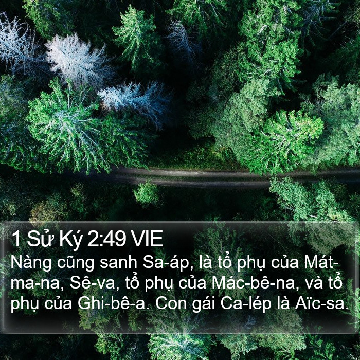 1 Sử Ký 2:49 VIE Bible Study