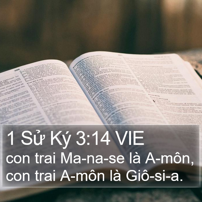 1 Sử Ký 3:14 VIE Bible Study