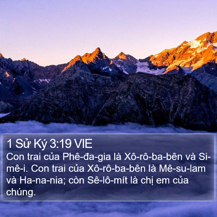 1 Sử Ký 3:19 VIE Bible Study