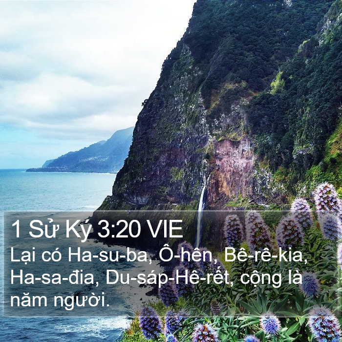 1 Sử Ký 3:20 VIE Bible Study