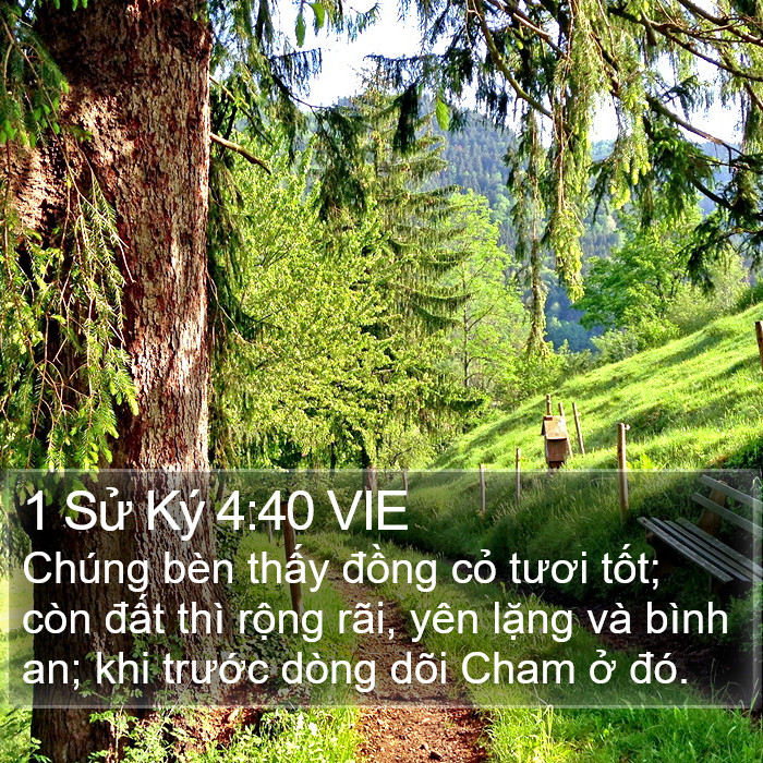1 Sử Ký 4:40 VIE Bible Study
